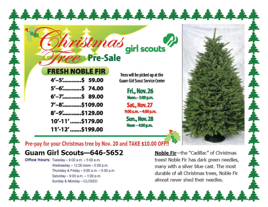 Christmas Flyer